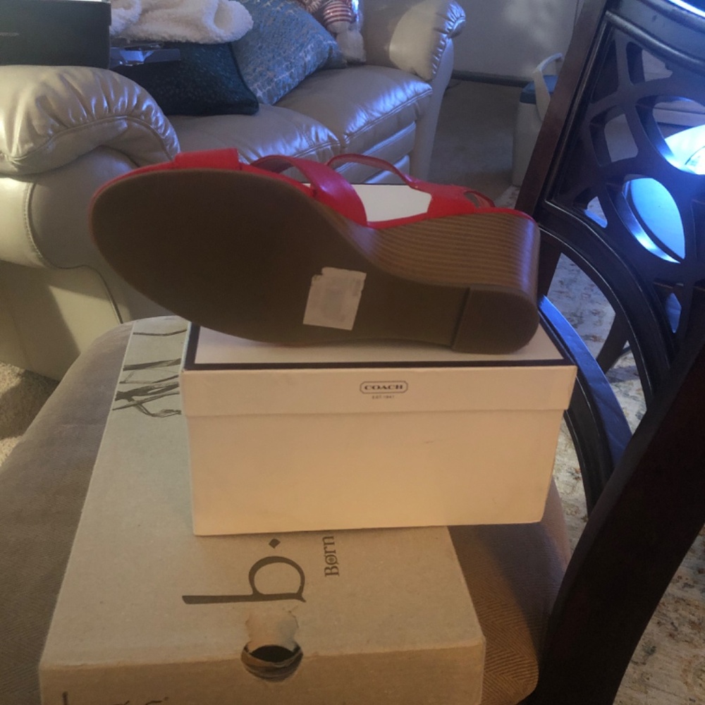 Shoe - Picture 4 of 5